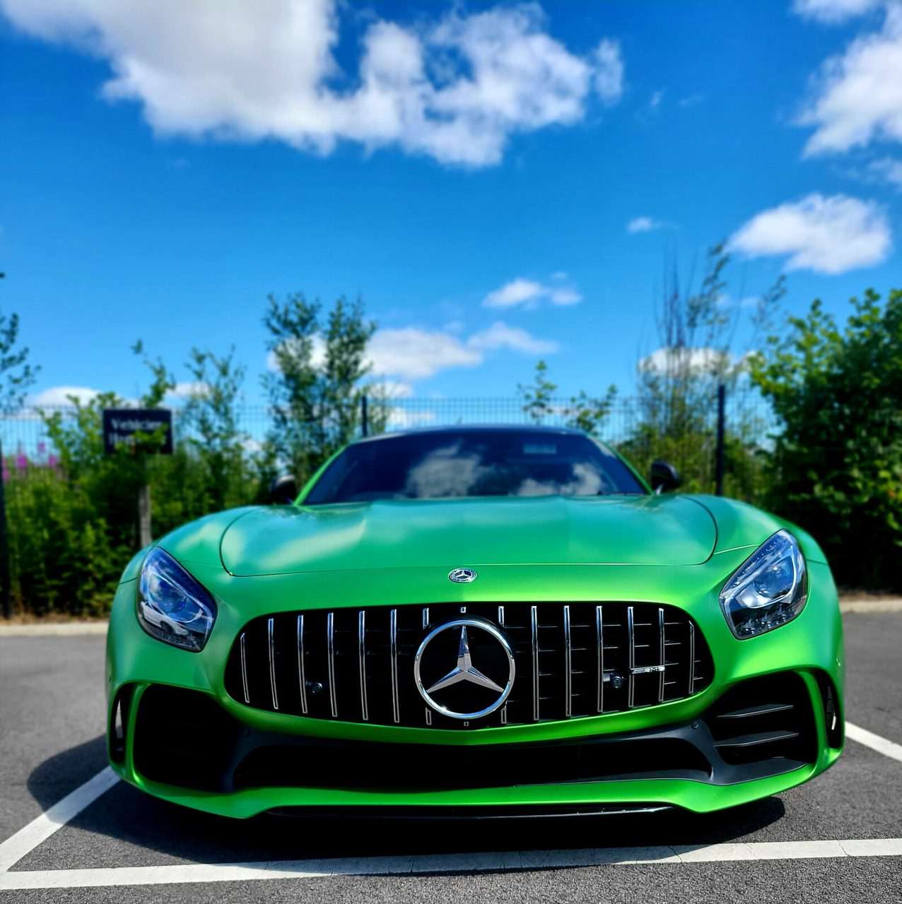 Profile Background